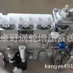 B6AD506A6机械 R和13033098 道依茨喷油泵1001620056 B6AD548G11