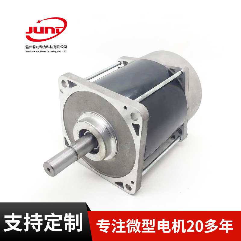 双出轴直流电机 双出轴混合式电机 59D56C401-02电机