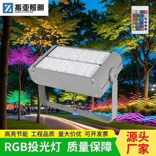 led彩色RGB投光灯户外防水花园绿化灯照树景观射灯庭院射树灯
