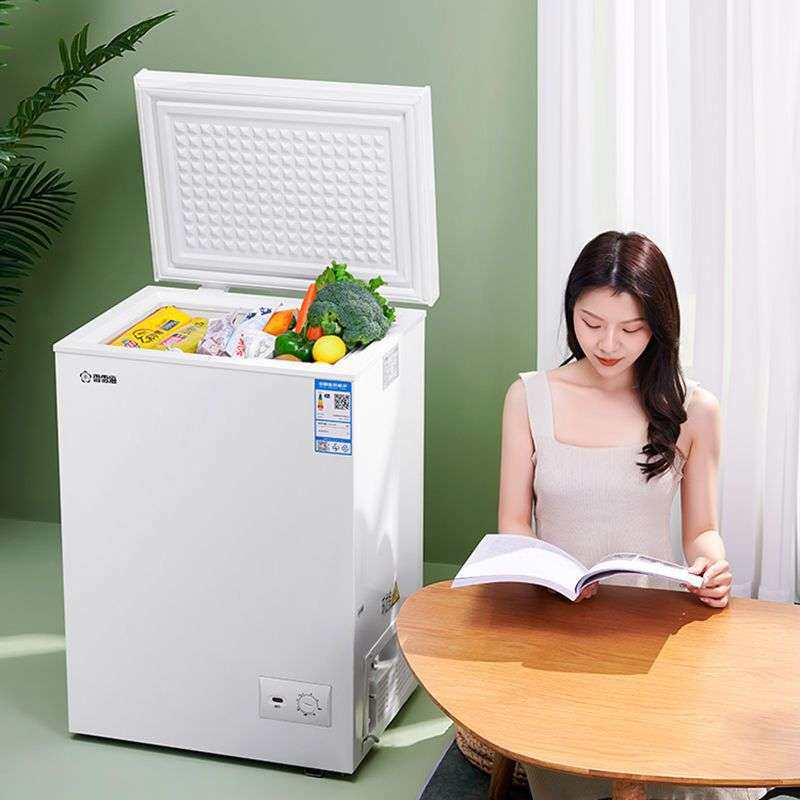 香雪海小冰柜冷冻冷藏家用冷柜小型电冰箱迷你大容量省电租房