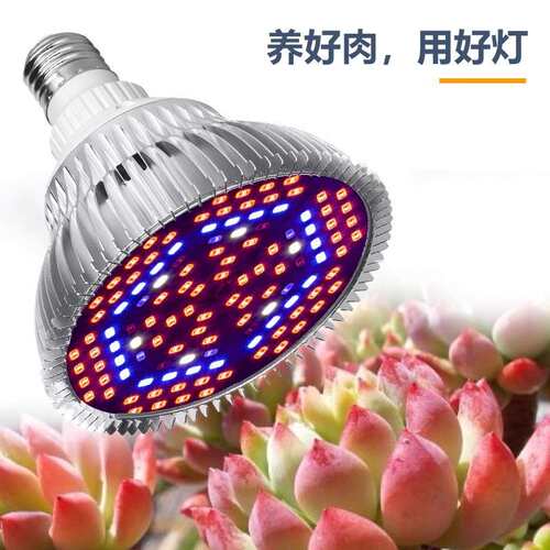 led全光普植物灯家用育苗多肉植物上色灯25W室内植物补光灯