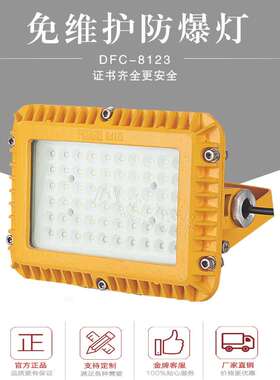 低电压20W30W40W50WLED防爆壁灯隧道防爆灯厂家24V36V管廊恒亮