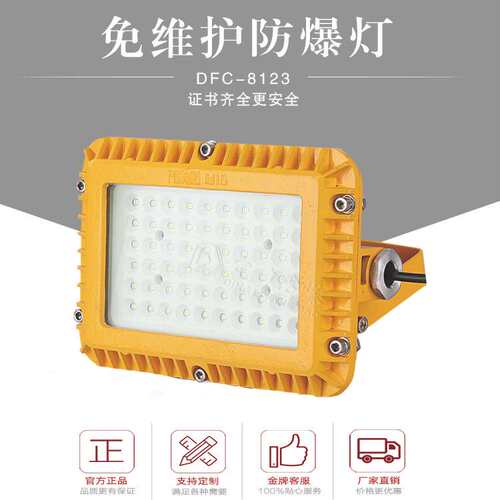低电压20W30W40W50WLED防爆壁灯隧道防爆灯厂家24V36V管廊恒亮