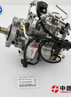 汽车柴油机燃料供给系统 NJ-VP4/11E1250R038