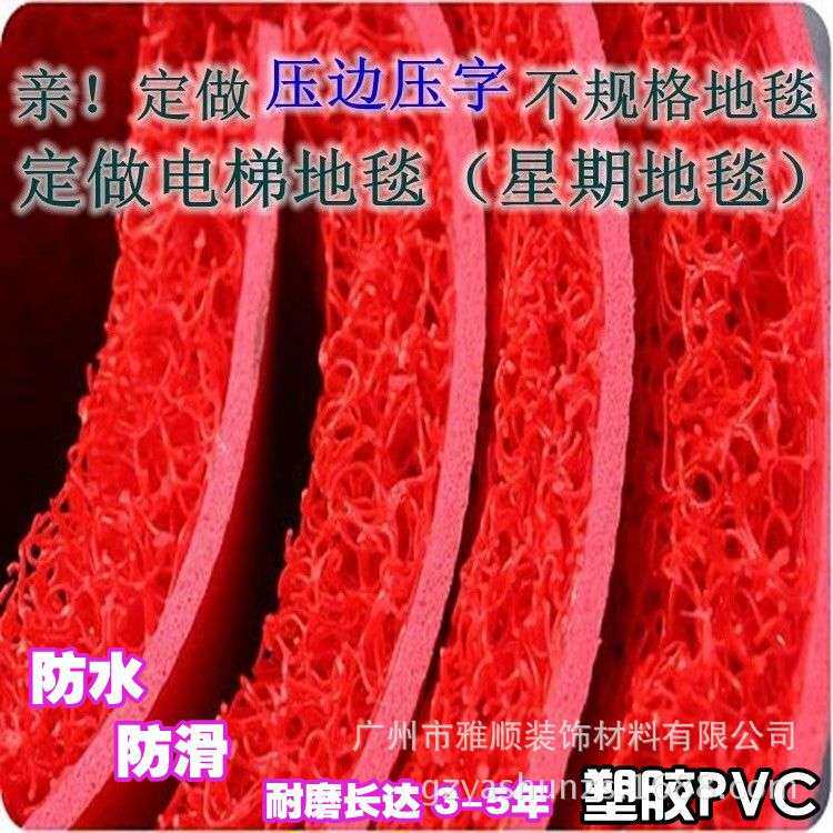 塑料pvc丝圈拉丝地垫室外蹭土去沙地垫迎宾地毯可印公司LOGO
