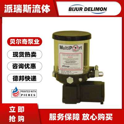 BIJURDELIMON贝奇尔CS电动油脂泵25285-1 53800 22449 2521 45884