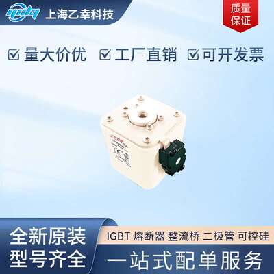 巴斯曼熔断器  170M6594 170M6595 170M6596 170M6597 170M6598