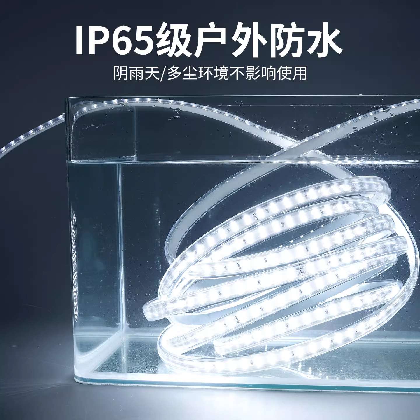 LED高压灯带220V 2835双排高亮户外防水工程亮化家用吊顶软灯条