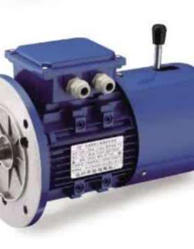 YEJ-100L1-4 2.2kw刹车电机
