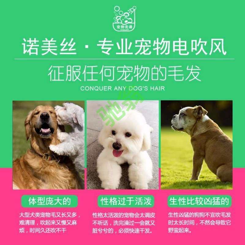 yut宠物吹风机大功率狗狗泰迪洗澡猫咪烘干机吹水机大小型犬吹毛