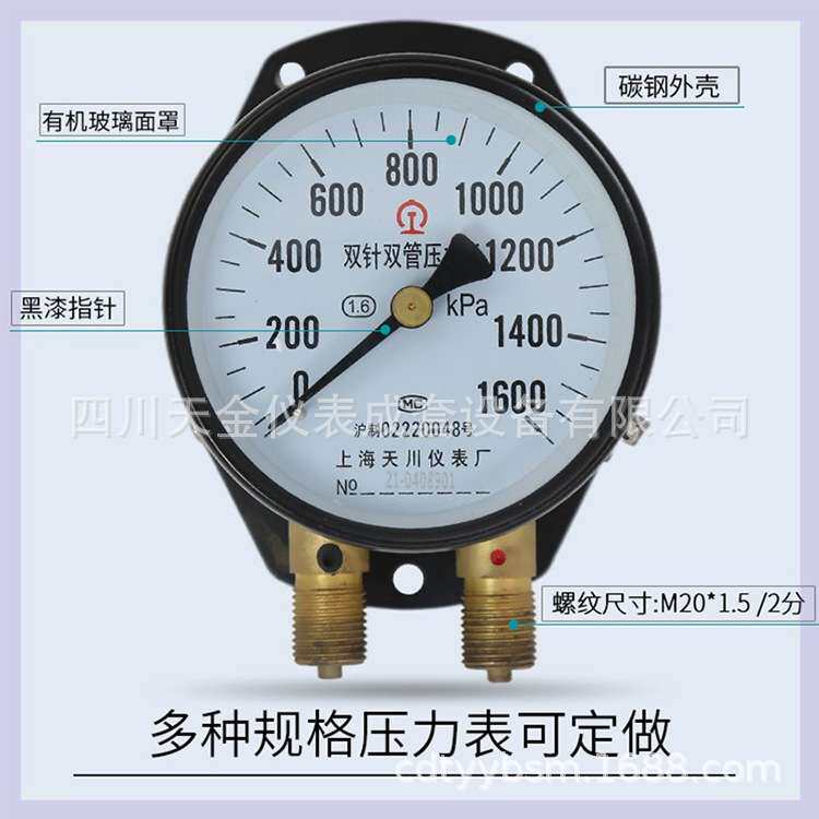 上海天川双针双管压力表YZS-102铁路船舶1000/1200KPa高静压力计