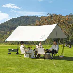 大迈星际飞越天幕 豆蔻年华DM-1018