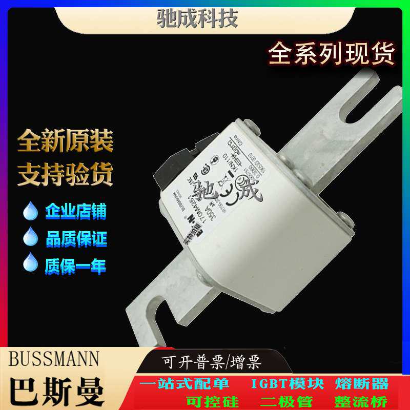 巴斯曼170M4259 170M4260 170M4261 大量现货价格优惠 快熔保险丝