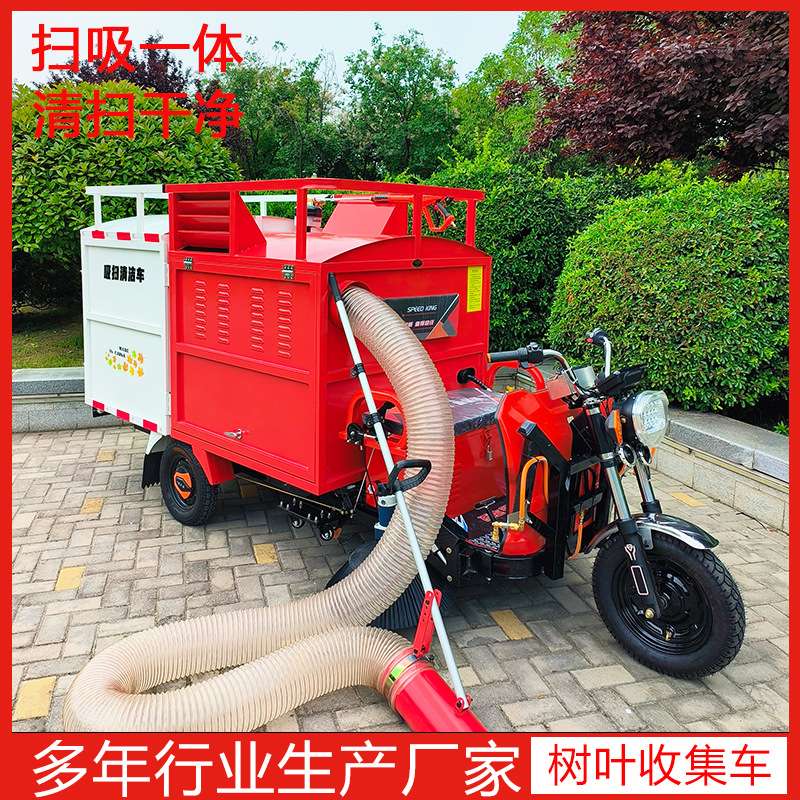两刷一吸树叶收集车电动落叶吸扫一体车座驾式干湿树叶收集车
