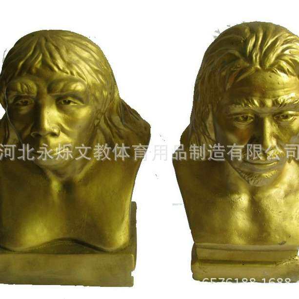 历史模型历史教室北京人头像山顶洞人仿古头像北京人复原仿真头像