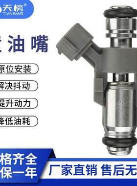 跨境热销 汽车喷油嘴IPM018 FUEL INJECTOR NOZZIE适用标致雪佛兰