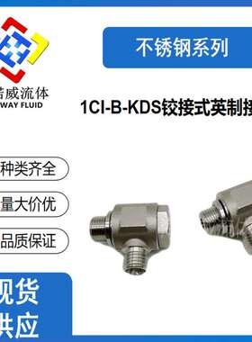 1CI-B-KDS 不锈钢液压接头铰接式英制胶垫密封管螺纹柱端可调方向