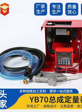 定量加油泵 YB70 柴油泵 加油泵 DC Fuel Transfer Pump Kit