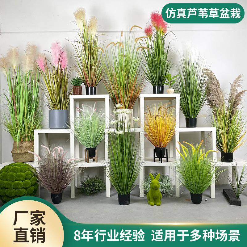 仿真绿植盆栽造景洋葱草家居装饰仿真植物盆景摆件绿植仿真绿植