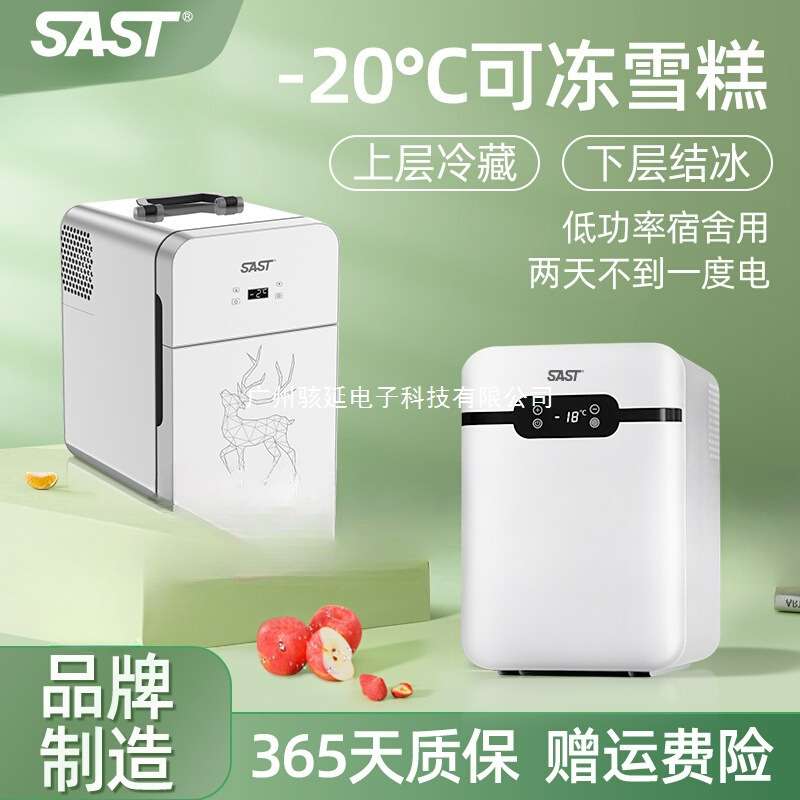 SAST车载迷你小冰箱宿舍出租房小型母乳单人用冷藏箱车家两用