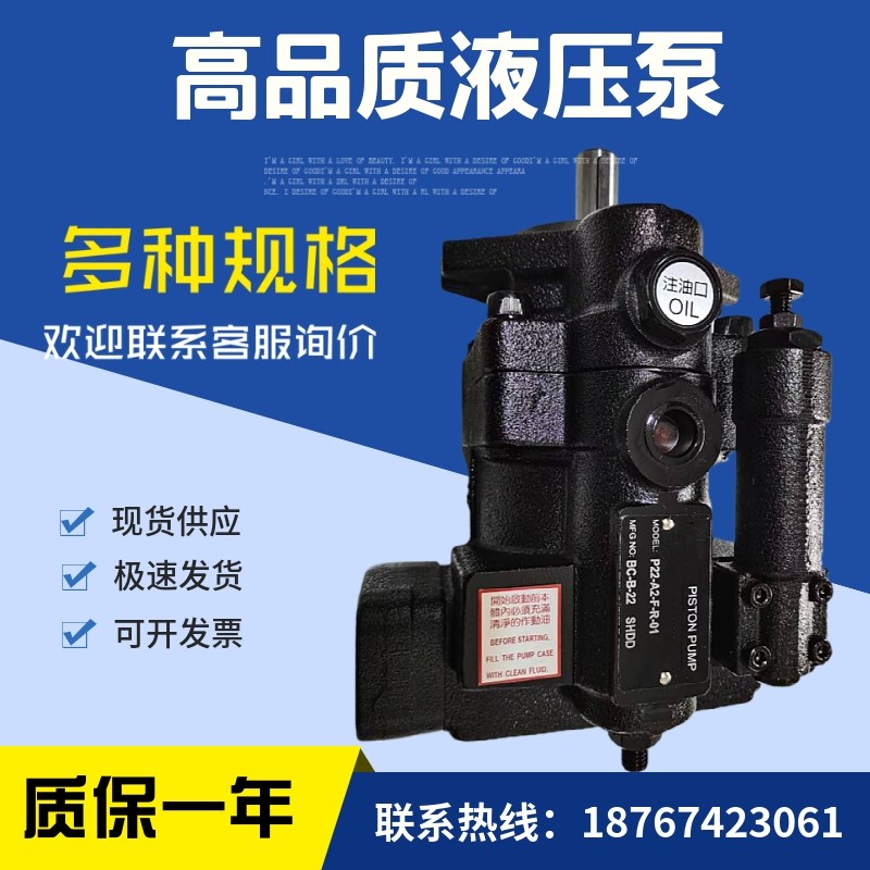 台湾变量柱塞泵P22-A0-pF-R-01 P22-A1/A2/A3/A4-F-R-01