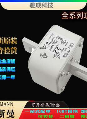 巴斯曼170M6017 170M6018 170M6019 厂家供货厂价直供 紧凑熔断器