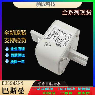 巴斯曼170M6017 170M6018 170M6019 厂家供货厂价直供 紧凑熔断器