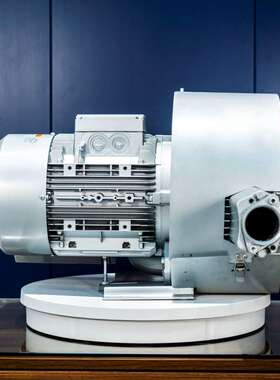 全风环保 2BH1930-7AH17 12.5KW 全风环保漩涡风机