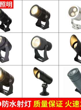 led射树灯防水射灯户外园林公园聚光照墙柱子灯草坪插地COB照树灯