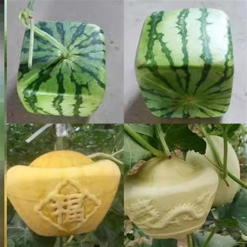 西瓜定形生长模具耐o高温高韧性方形爱心形福字元宝塑料定形工具