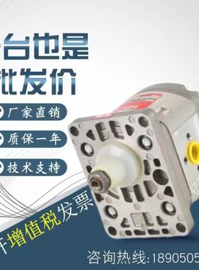 法国HPI齿轮泵P3BAN2006/2008/2010/2012/2014/2026/2030CL10B02