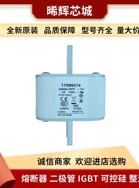 170M6014 170M6013伊顿巴斯曼熔断器量大从优直流快速熔断器现货