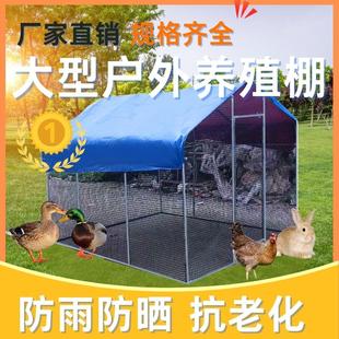 户外养殖鸡鸭棚室外防雨棚大型鸡窝家禽鸡鸡养鸡笼子家用骨架搭建