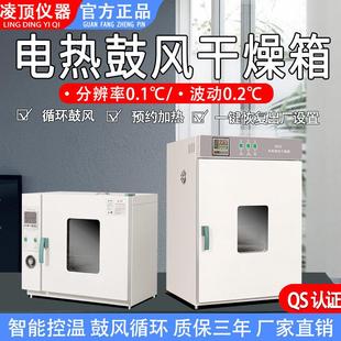 电热恒温鼓风干燥箱医用干燥箱高温工业烘箱中药材烘干箱小型家用