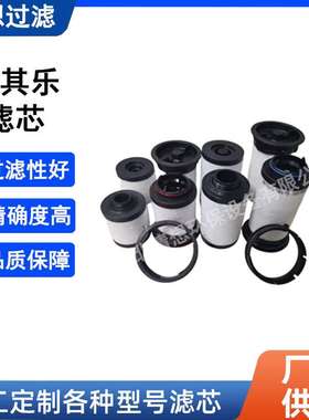 真空泵油雾分离器731630-0000 Rietschle里其乐VC202 VC303滤芯