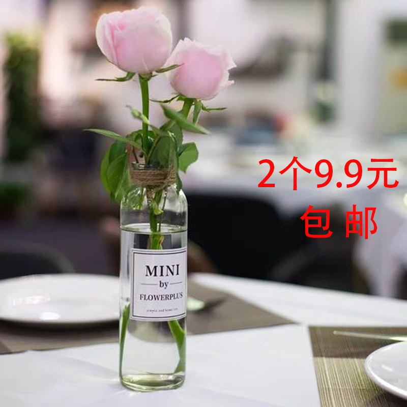 小清新简约创意玻璃花瓶透明家用水培H植物绿萝鲜花插花瓶客厅摆
