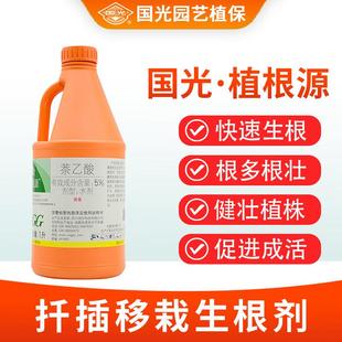 国光植根源萘乙酸生根剂植物生根壮苗剂大树移栽扦插发根液