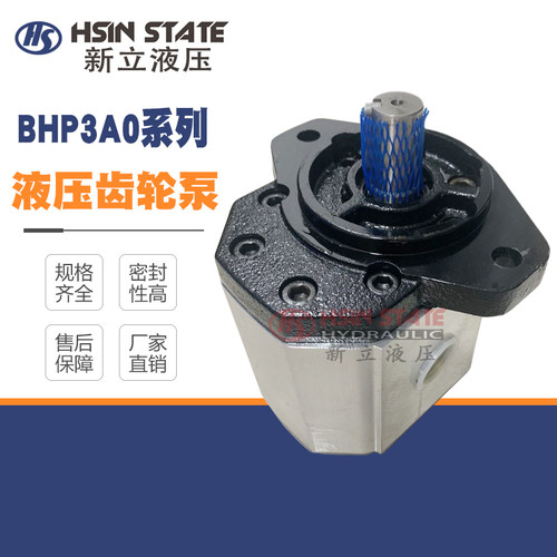 齿轮泵BHP3A0D55C0R2/D20/D26/D33/D39/D46/D50/D52/D63/D71C0R0