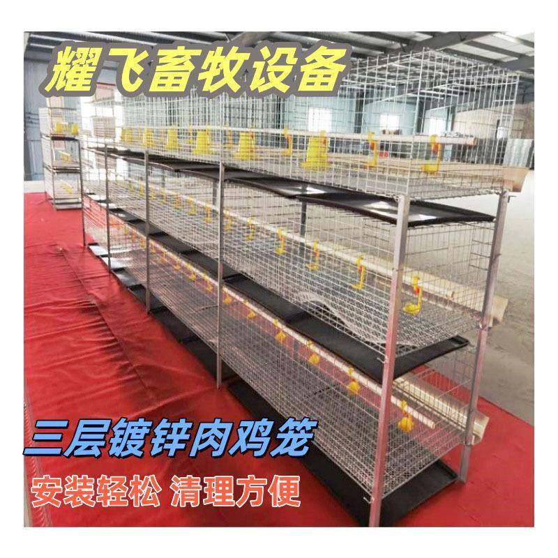 立式弹簧门粪盘肉鸡笼镀锌丝鸡笼养鸡场鸡舍养殖鸡笼三层两门鸡笼,农机/农具/农膜,农用防护器具,淘宝优惠券,粉丝福利购,淘宝优惠卷