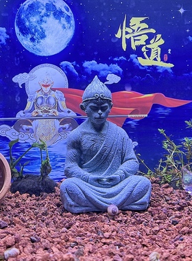鱼缸造景孙悟空h齐天大圣斗战胜佛摆件微景观装饰沉水小石头禅意
