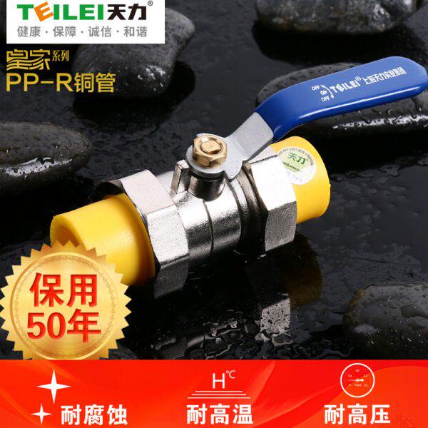 力冷热水活接球阀管承双4分天ppr水管口铜芯皇家管配件球阀6分