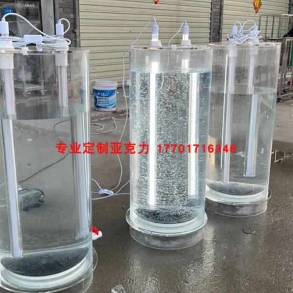 藻反应定制透明生物培藻亚克力光桶扩藻有机玻璃筒球器光细合菌小