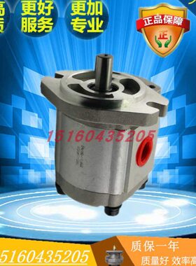 GTS10SGT10OP10P 1010RPK7 4RP1  康百世10 P1 P6齿轮泵MPA520P90