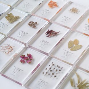 sp软装店植物标本树脂精油a亚克力透明文化墙 养身香薰精油滴胶