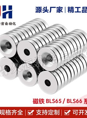 磁铁BLS65/66-A8/A10/A12/A15/A20/25-T3-T4-TO4.5-T5-T5.5/T6怡
