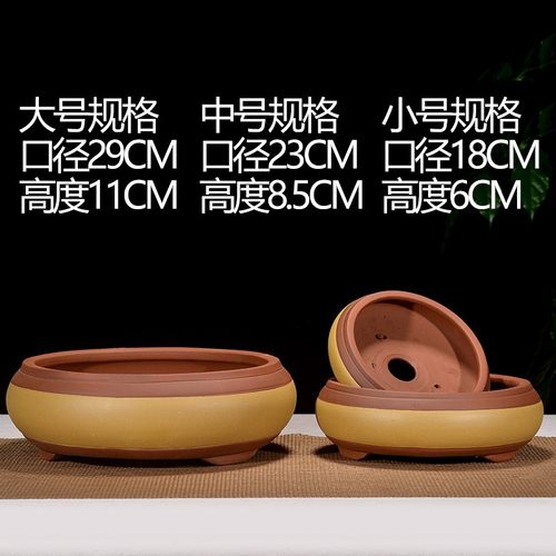 花盆紫砂花盆盆景花盆菖蒲素盆小号创意浅盆大口径U多肉老桩聚宝