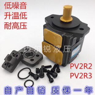 R53P60R35 V2V高压L 定RP 叶片泵泵R3 60V L量3 V2PP