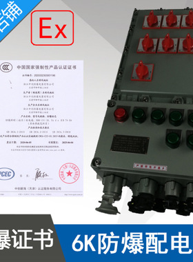 BXMD58-6K防爆照明动力配电箱铝合金1进6出防爆开关电箱ExdeIIBT4
