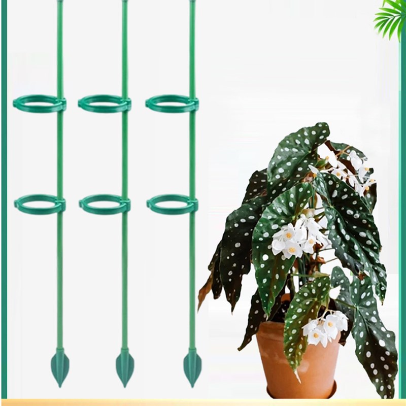 秋海棠支撑杆鳟鱼专用r植物支撑杆支架造型花支架固定器花架造型