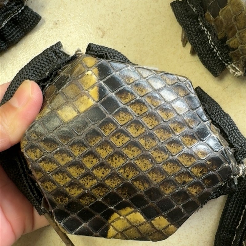 二胡琴皮实物图需要蒙皮的可以联系客服34L年经验的工艺师手工蒙